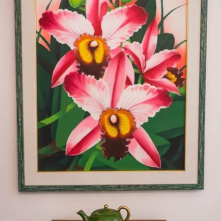 ベッド・アンド・ブレックファスト Ispani Inn Resort