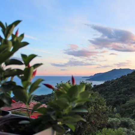 Ispani Inn Resort Ispani